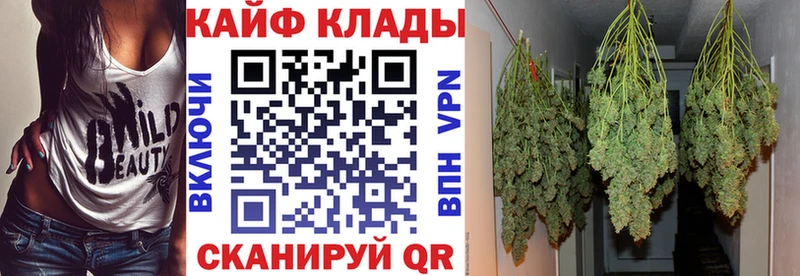 Купить наркоту Жуков COCAIN  АМФ  ГАШИШ  Канабис  Меф 