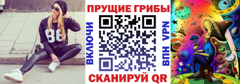блэк спрут зеркало  закладка  Жуков  Галлюциногенные грибы GOLDEN TEACHER 
